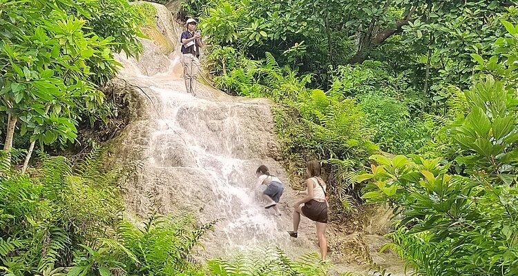 Sticky Waterfall