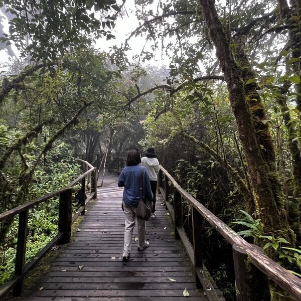 Hike in Doi Inthanon