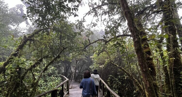 Doi Inthanon National Park