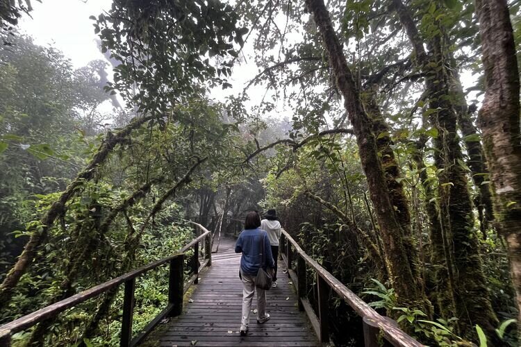 Doi Inthanon, Chiang Mai, Thailand