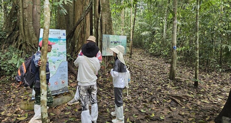 Khao Yai Hiking