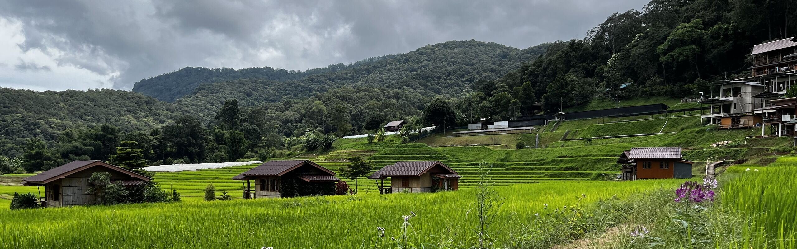 Chiang Mai Weather in October 2026: Things to Do, What to Wear