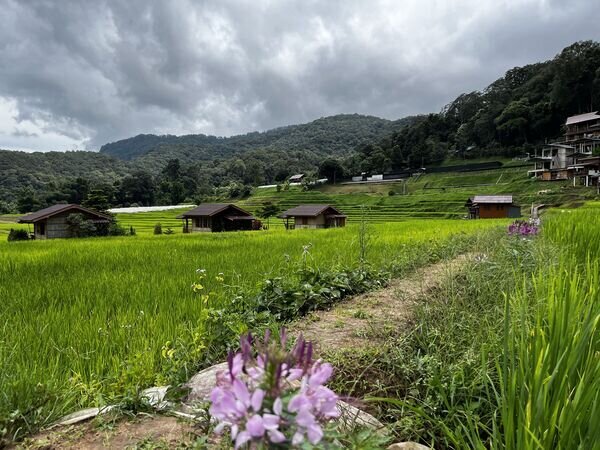 Doi Suthep Mountain