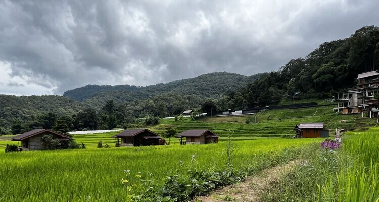 Chiang Mai ,terraced fields