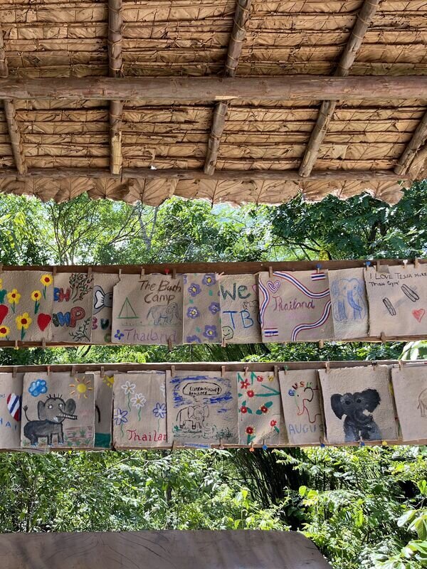 Visit Elephant Poopoo Paper Park