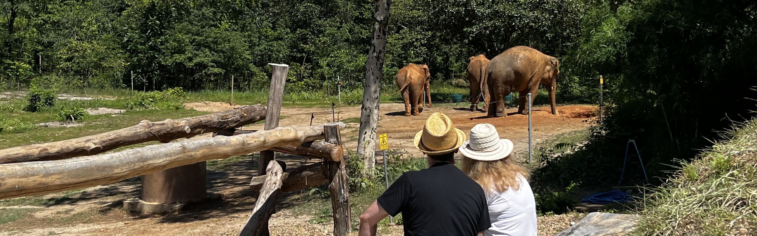 2-Week Thailand Getaway Tour for Couples 