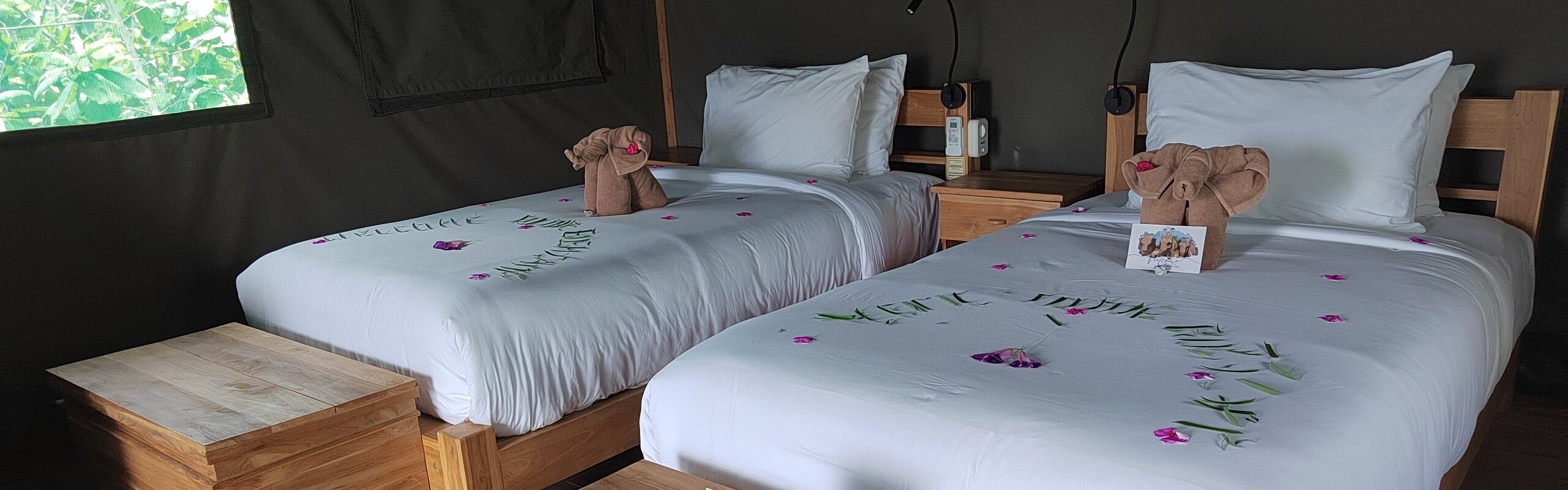 Elephant Hotels & Resorts in Thailand (A Travel Expert's Picks)