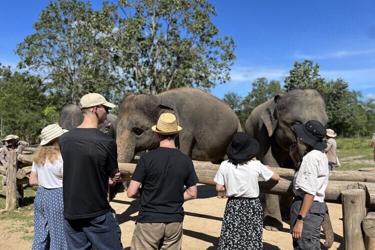 bush camp, Elephant hill, Thailand, Chiang Mai