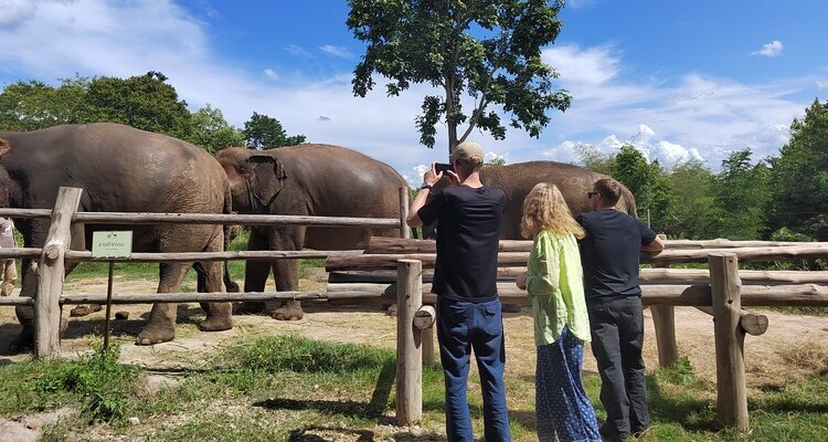 bush camp，Elephant hill，Thailand，Chiang Mai