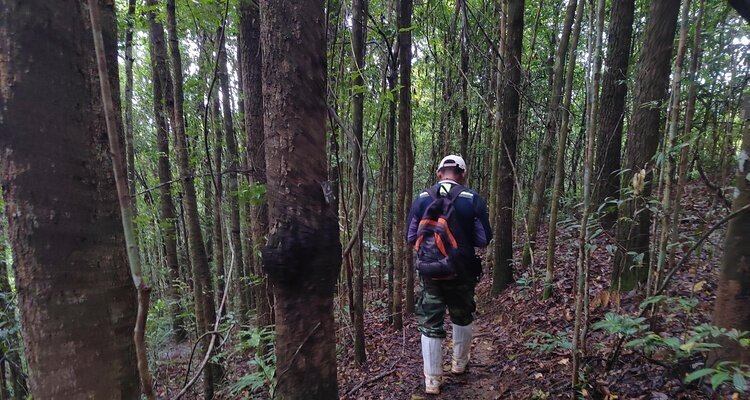 Khao Yai National Park