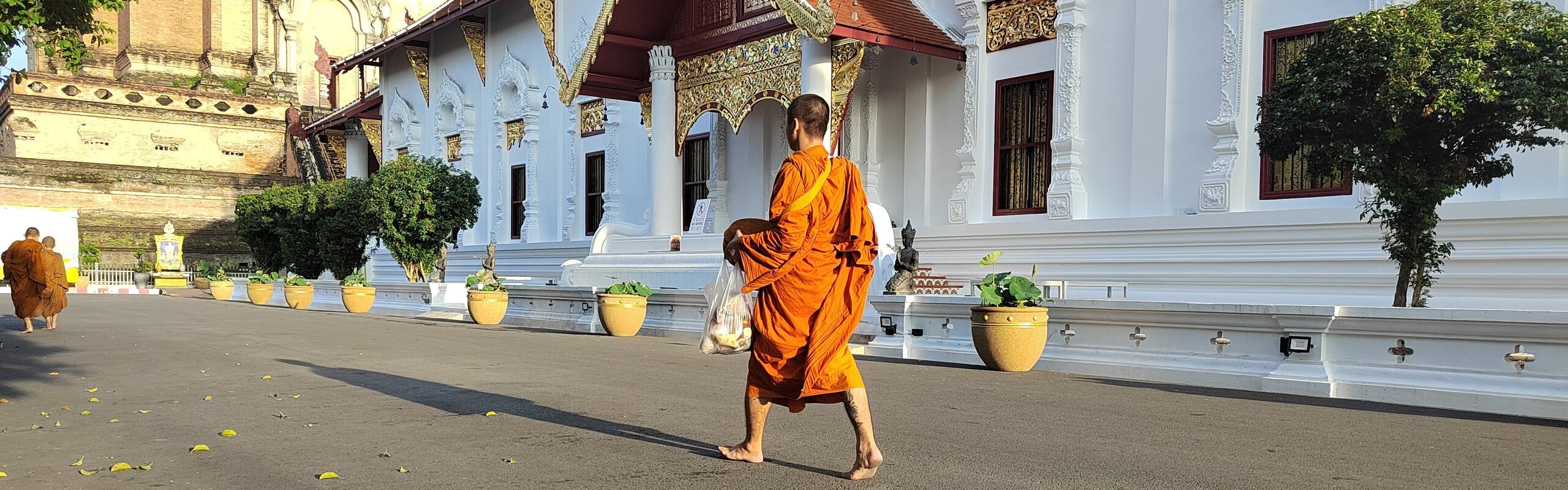 Chiang Mai in June 2026: Weather & Things to Do in Summer