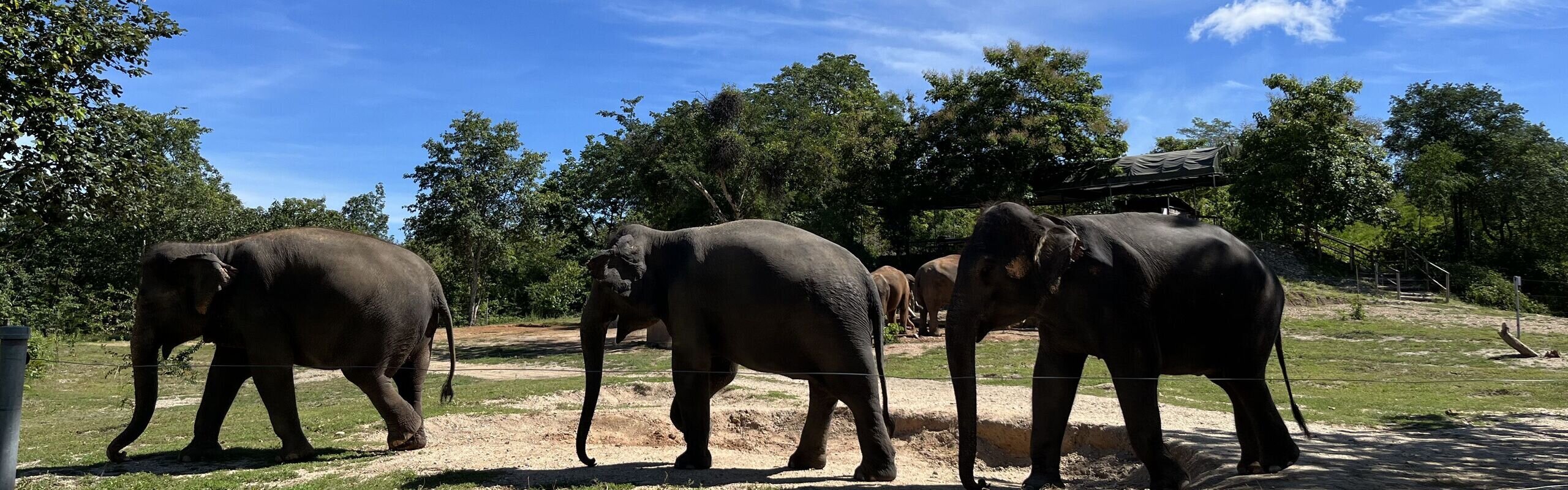 Chiang Mai in January 2026: Weather, Festivals & What to Do