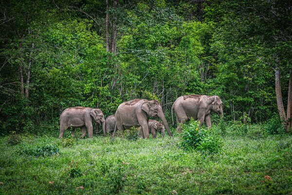 Best Places to Visit Near Bangkok