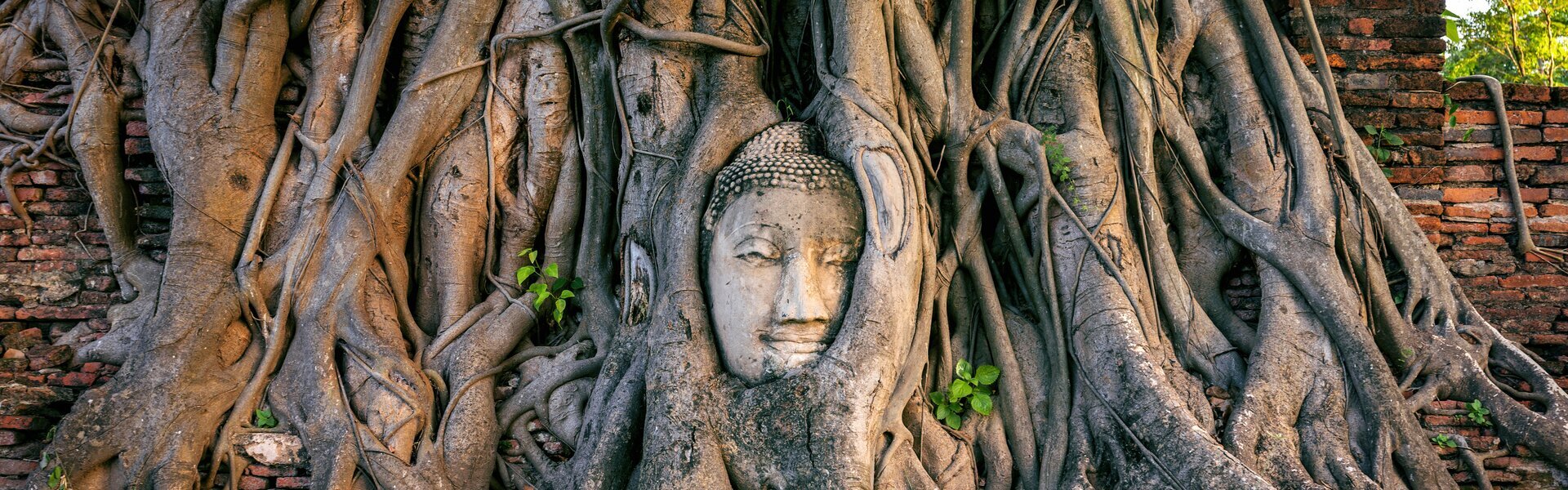 See the Famous Buddha Head in Tree Roots