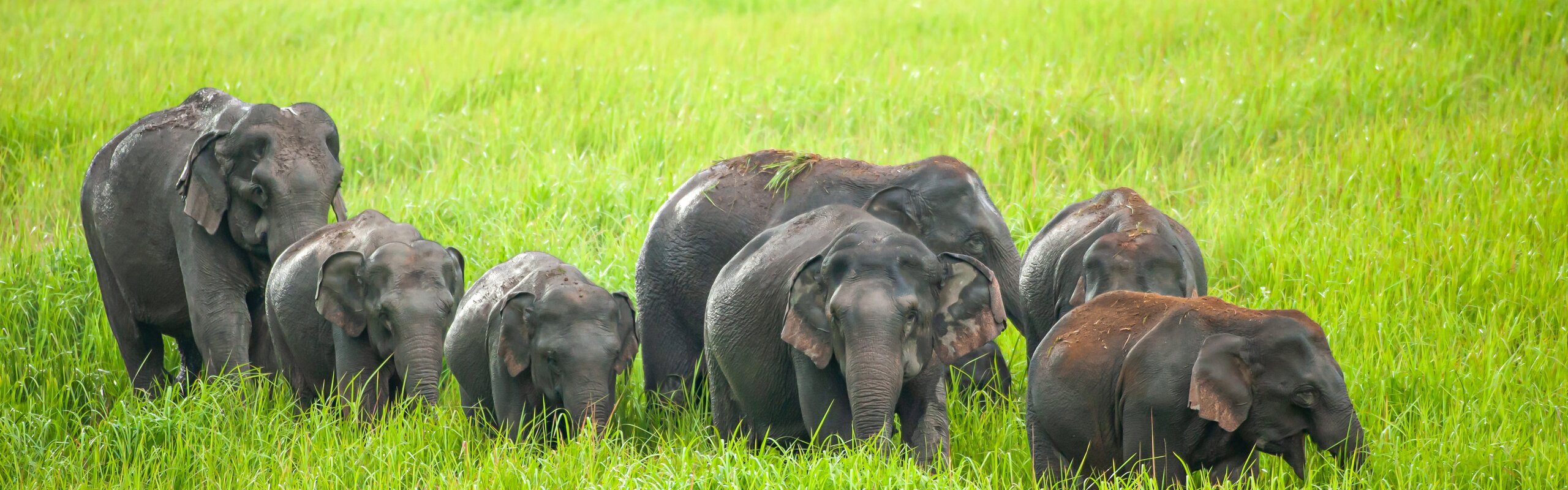 Responsible Travel - RESPECT in Action