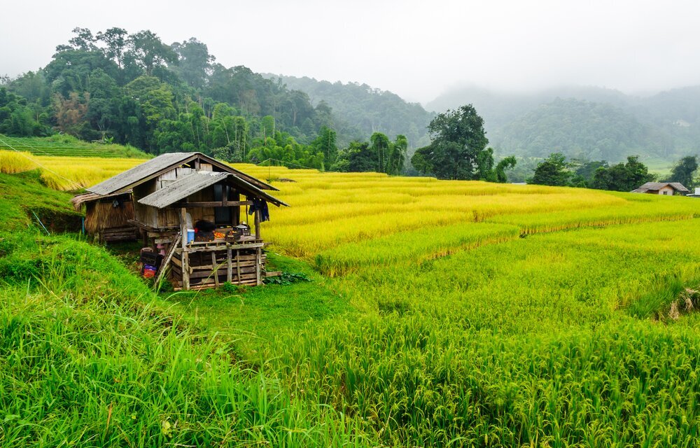 Chiang Mai Adventure Tour