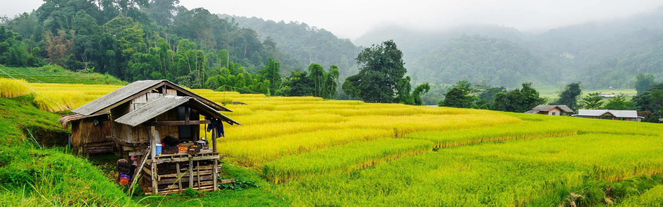 7-Day In-Depth Chiang Mai Adventure Tour 