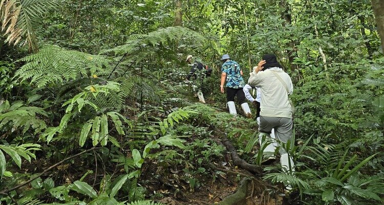 Hiking Inside Khao Yai National Park