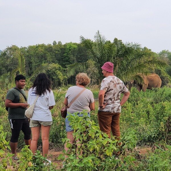 Meet Gentle Giants at an Ethical Elephant Sanctuary