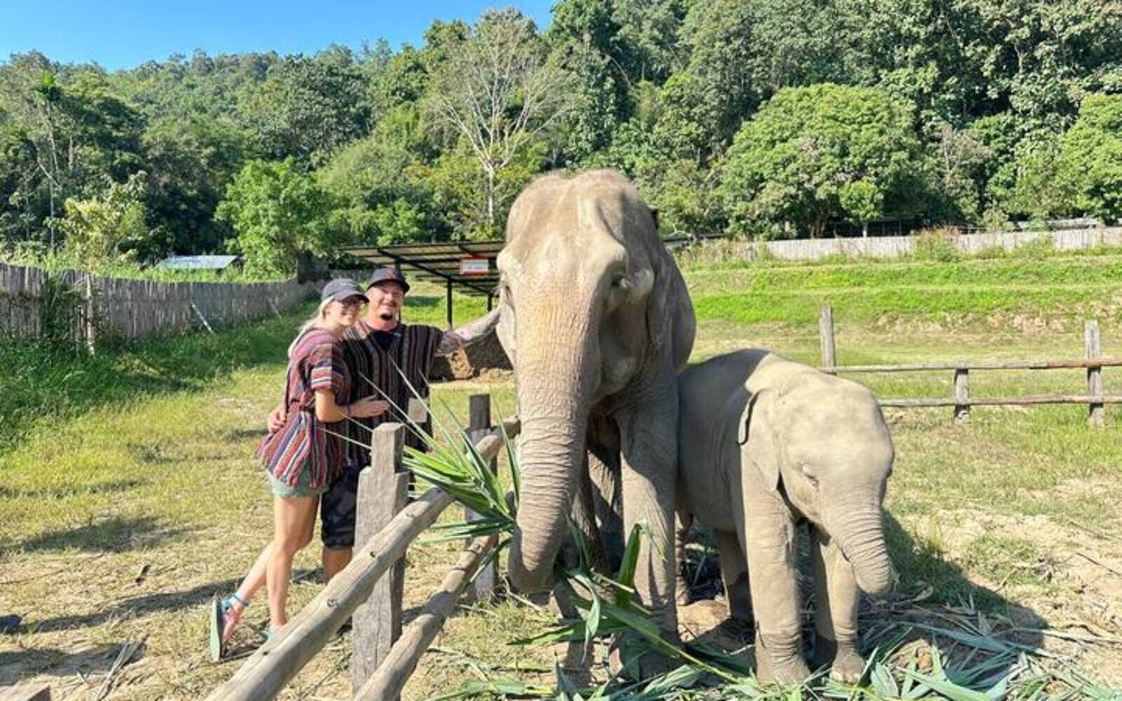 Elephant Jungle Sanctuary Half Day Tour