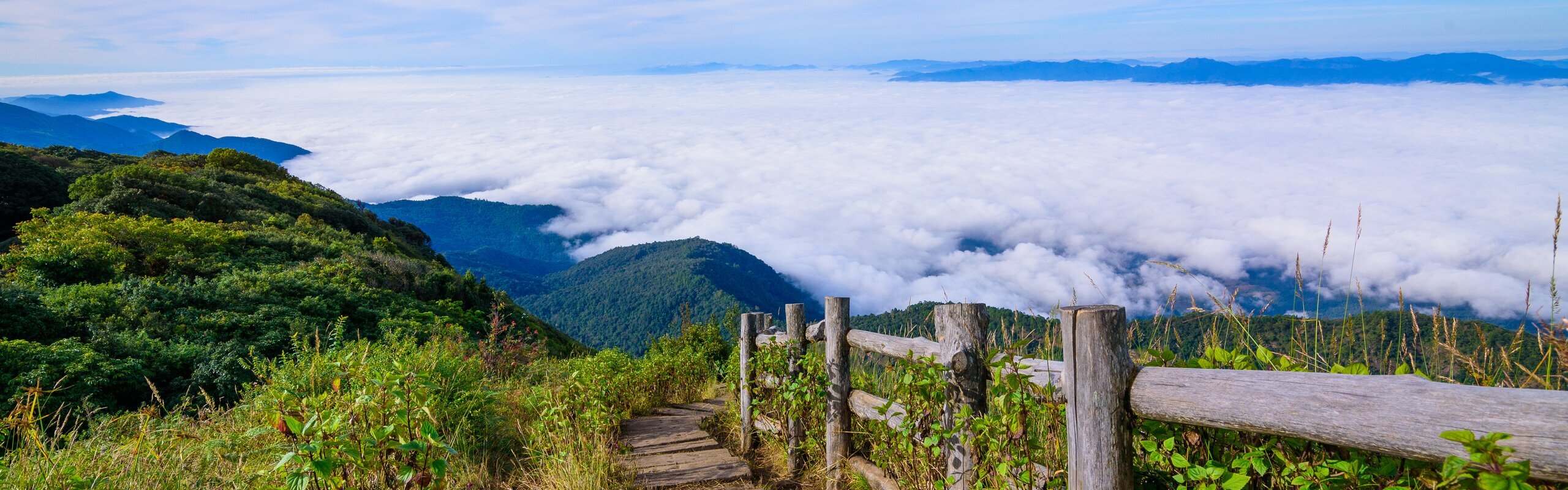 Why I Recommend Spending a Full Day at Doi Inthanon