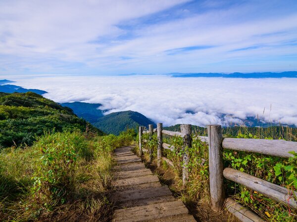 Trekking Trails on the Doi Inthanon