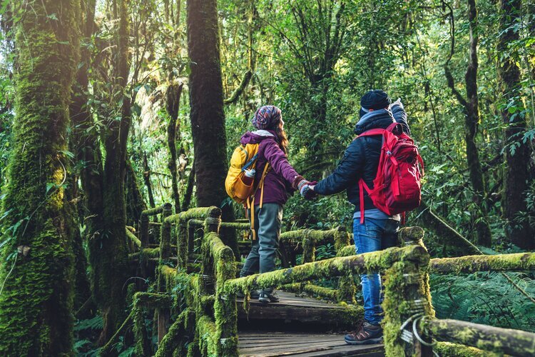 Doi Inthanon National Park