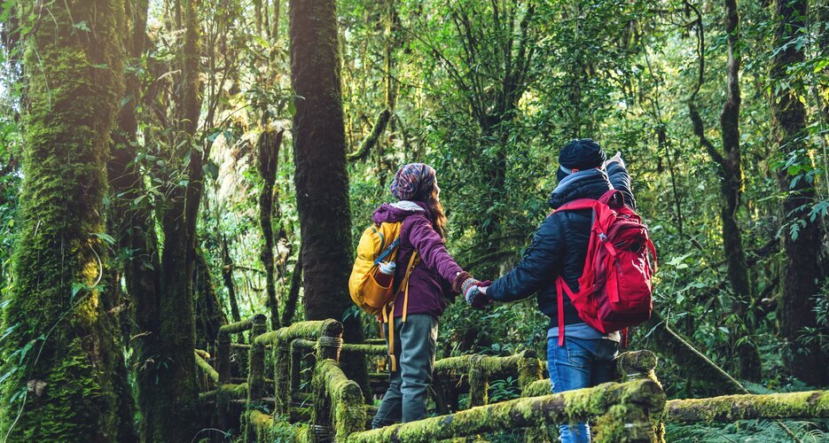 Ang Ka Natural Trail in Doi Inthanon