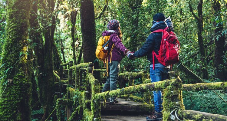 Doi Inthanon National Park