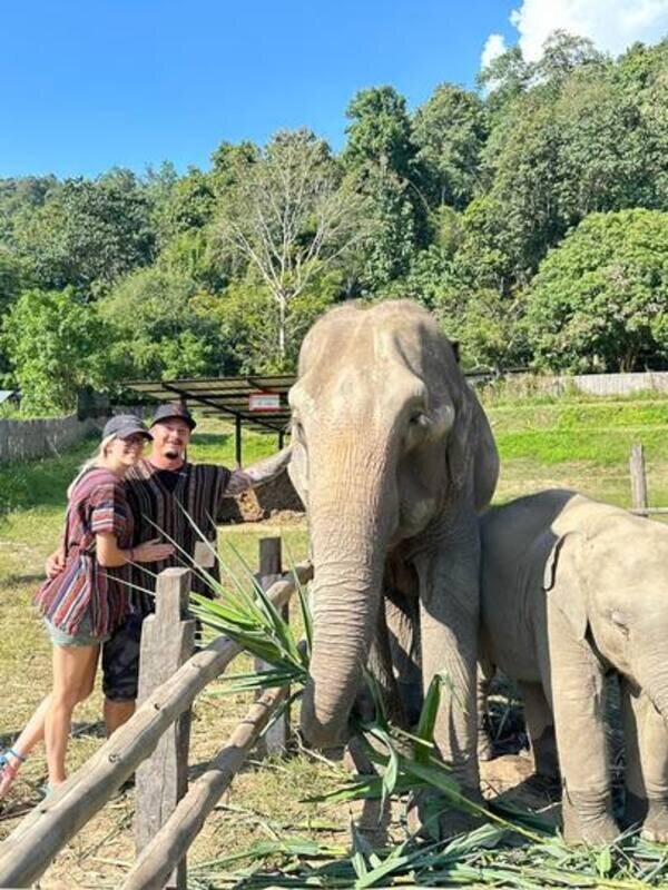 Visit the Elephant Jungle Sanctuary Phuket