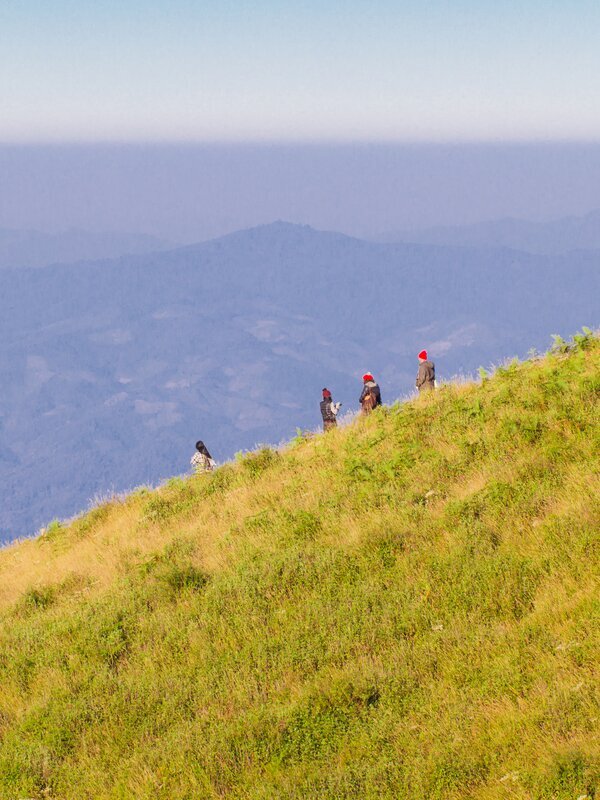 Hike Thailand's Highest Mountain, Doi Inthanon