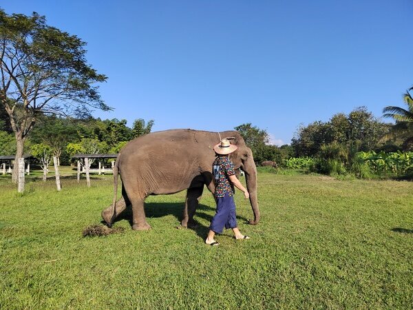 Visit the Kanta Elephant Sanctuary