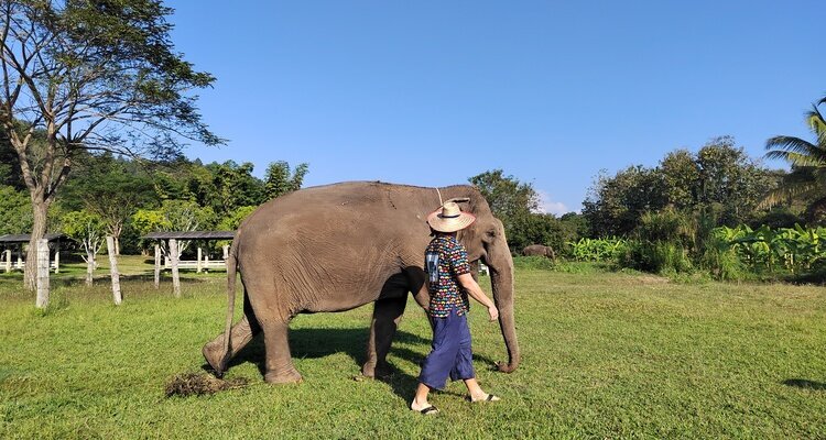 Kanta Elephant Santuary