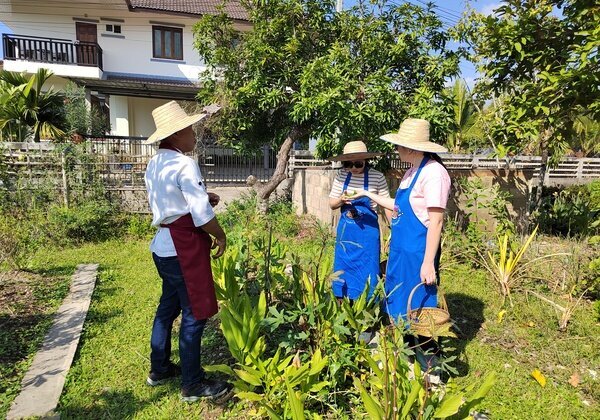 Harvest ingredients and cook Thai dishes with a local family