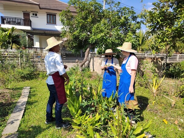 Handpick the ingredients at an organic garden