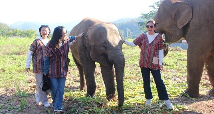 We enjoyed our time at Elephant Jungle Sanctuary.