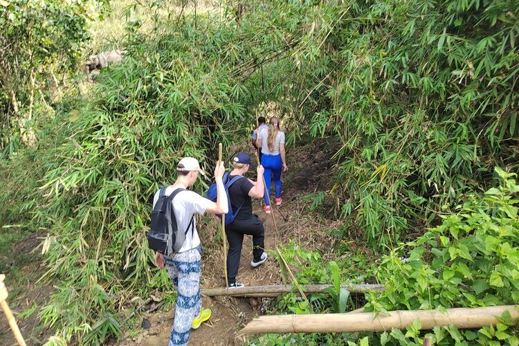 elephant sanctuary，changchill