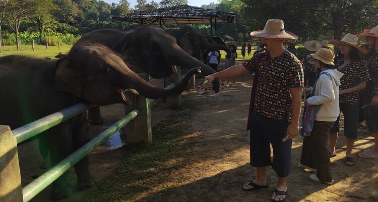 Crowd-free Experience at Kanta Elephant Sanctuary, Chiang Mai.