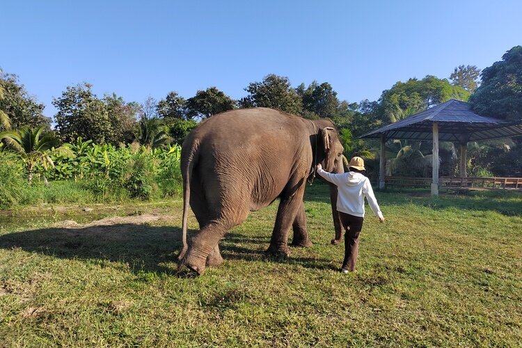 elephant sanctuary,kanta