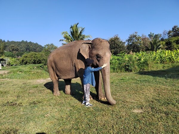 Enjoy a truly memorable elephant care experience at an ethical sanctuary.