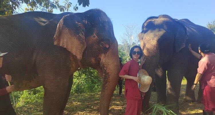 elephant sanctuary