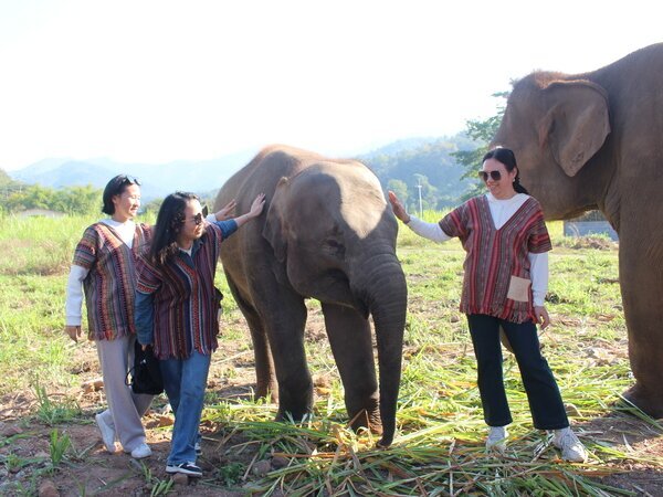 Elephant Jungle Santuary