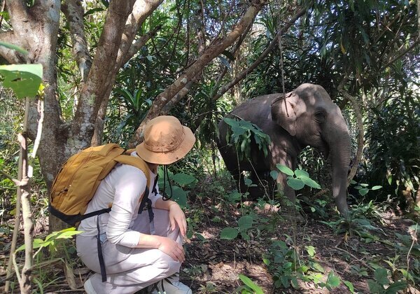 Support wildlife by visiting ethical elephant sanctuaries in Thailand