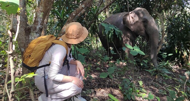 elephant sanctuary, changchill,Thailand