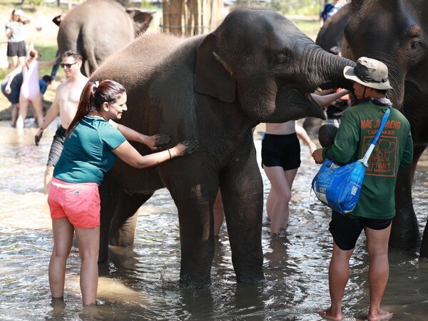Thailand elephant sanctuary mud spa