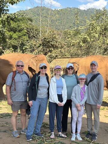 Have a Close Encounter with Remarkable Elephants.