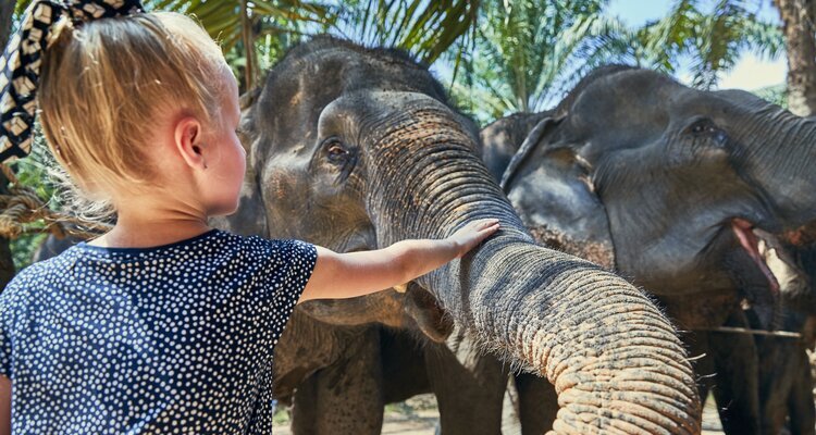 Ethical Elephant Encounters