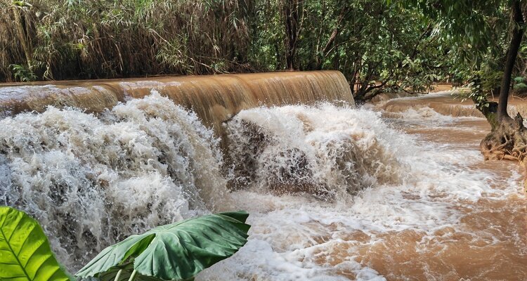 rainy season in Chiang Mai