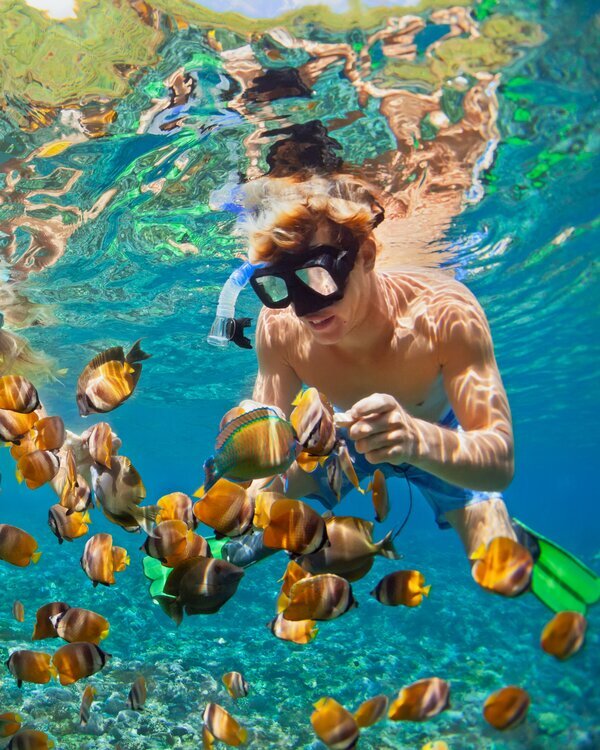Snorkel with Tropical Fish
