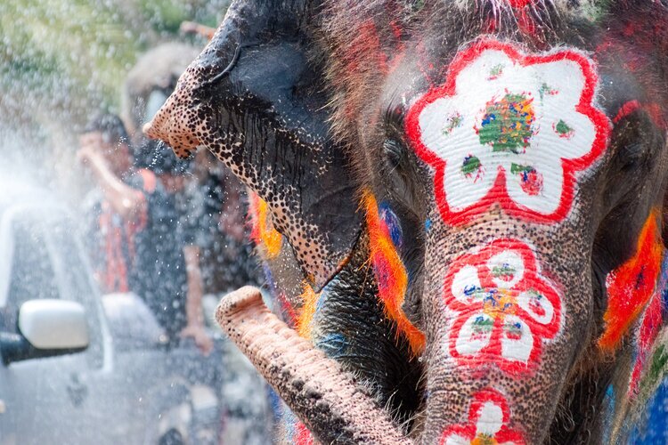 Painted Elephant in Songkran, Ayutthaya